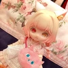 猫缶