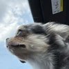 愛を探す