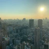 とり