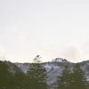 AN.