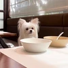 やまり