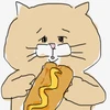 ネコノヒー