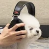 noa