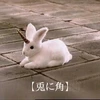 れい