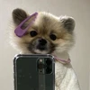 ナオ