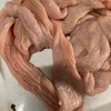 豚モツ