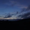 まるこ