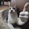 RascalSmile