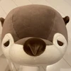 どんぐり