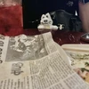 ネバるんるん