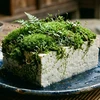 mossytofu