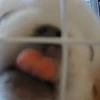 ぬんぬん