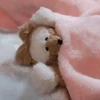 てるてるごはん