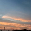rimi.daidaiiro