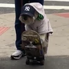 おねだり