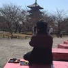 のら