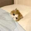 りさ