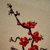 taka
