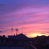 ユー