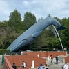 ルーシー