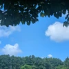okasu