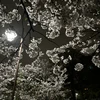 dc.traveler