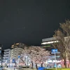 奥井