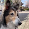 jemamot2019