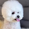 naho