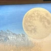 sono_17