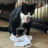 らぶみ