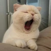 にく