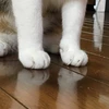 てと