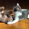 ひろゆき