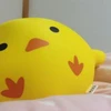 AsamiMizuno