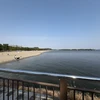 みそ汁