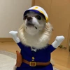 セキ