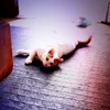 もりやん