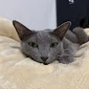 miko