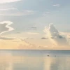seasnd
