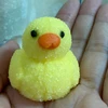 ぴぴ