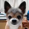 masaaki73