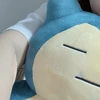 pyon.com