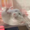 nanaa__7117