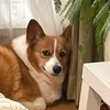 あつ