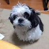 Ryoichi