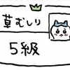 momo.rst