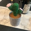 たける