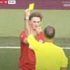 ダンゴムシの母