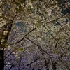 雨